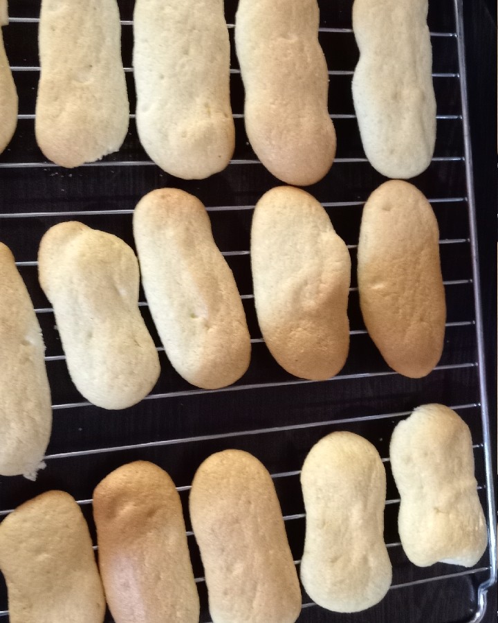 بیسکوییت های لیدی فینگر