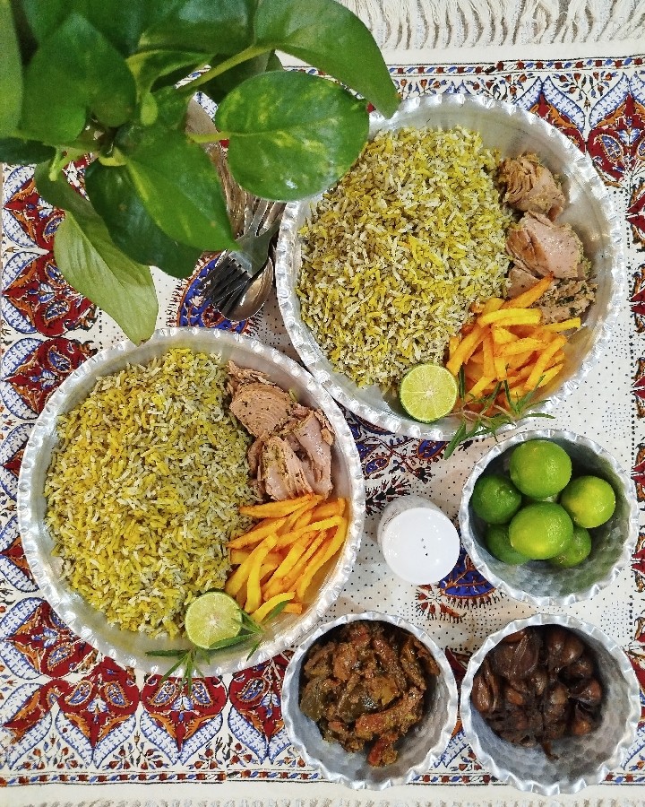 عکس پلو تن