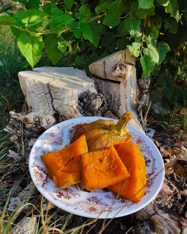 کدو... ورق بزنید 