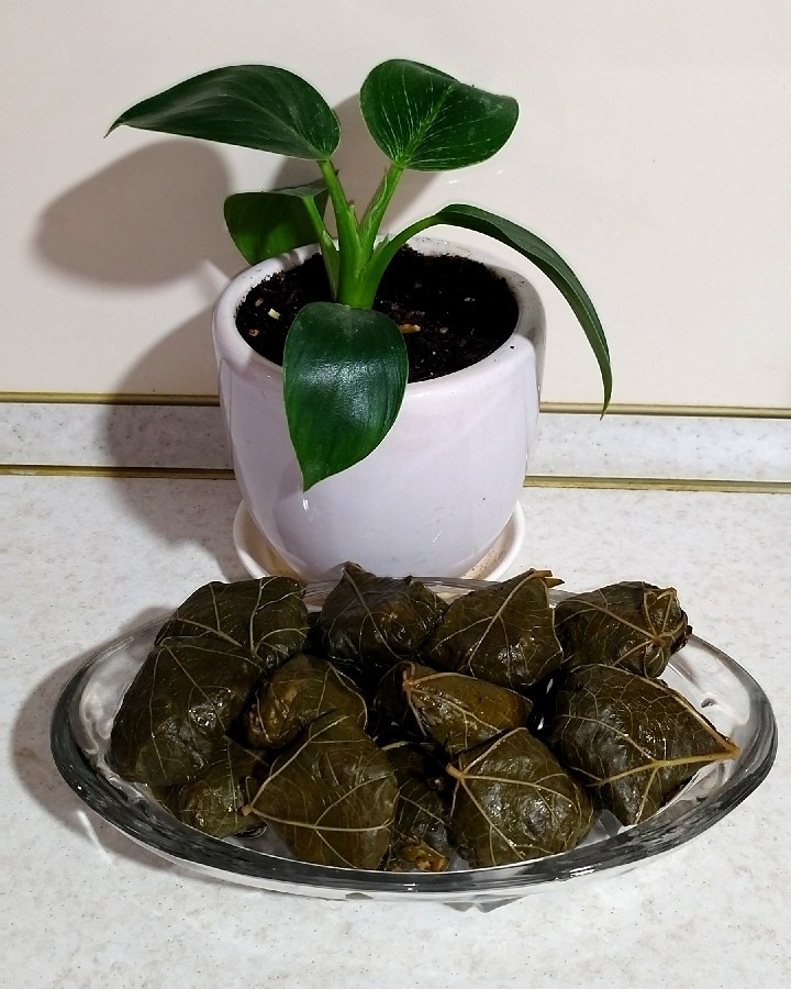 عکس دلمه برگ مو