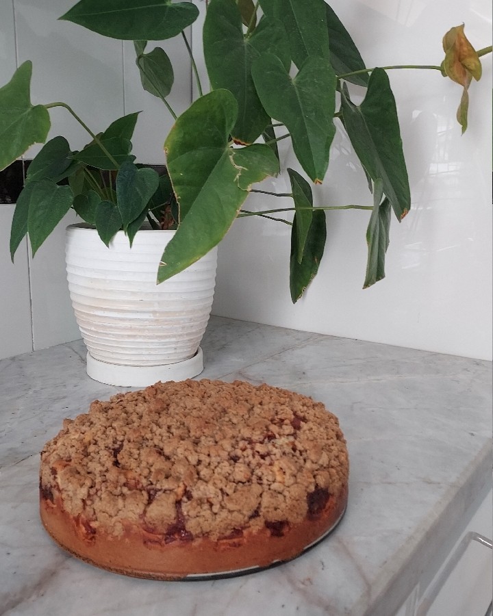 کیک کرامبل سیب
زرشک پلو با مرع
تولد رضا جون 