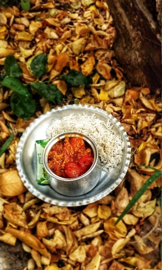 خورش بادمجون