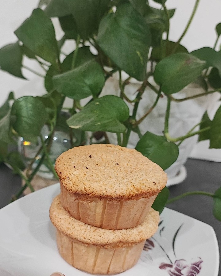 عکس کیک پای سیب