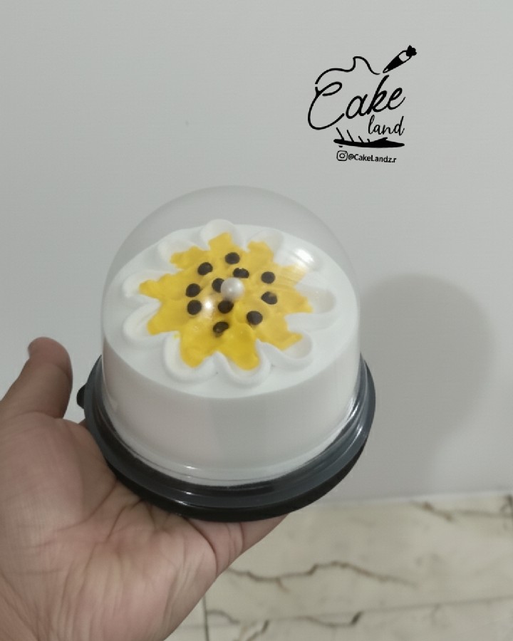 عکس میکرو کیک