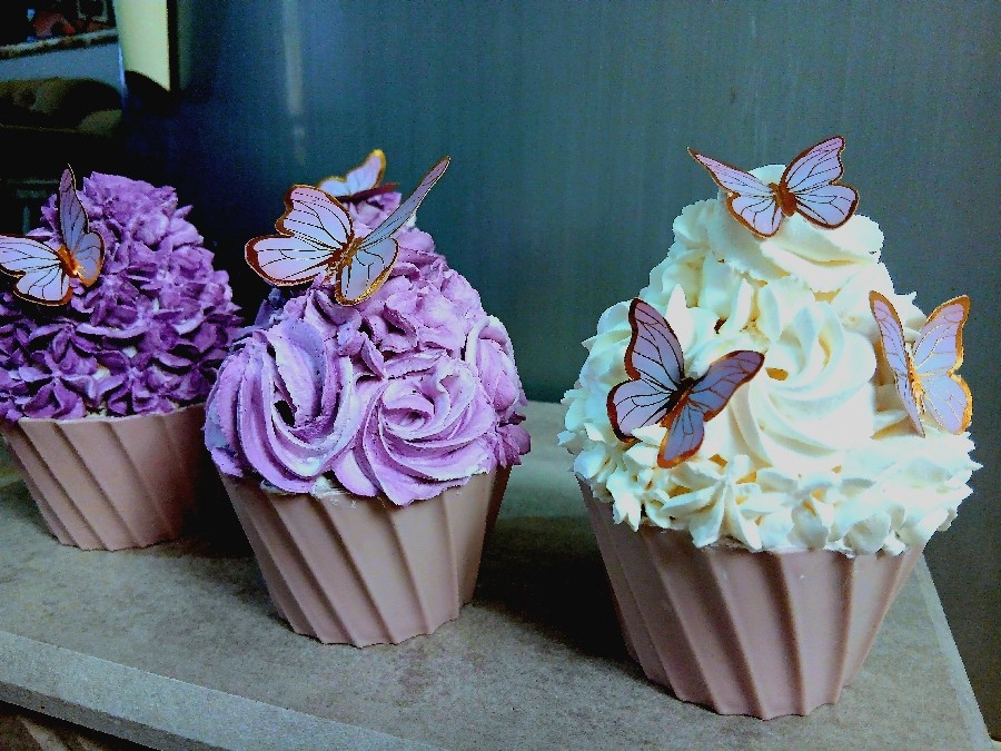 بارگرهای خوشگل من
تقدیم نگاه های زیباتون