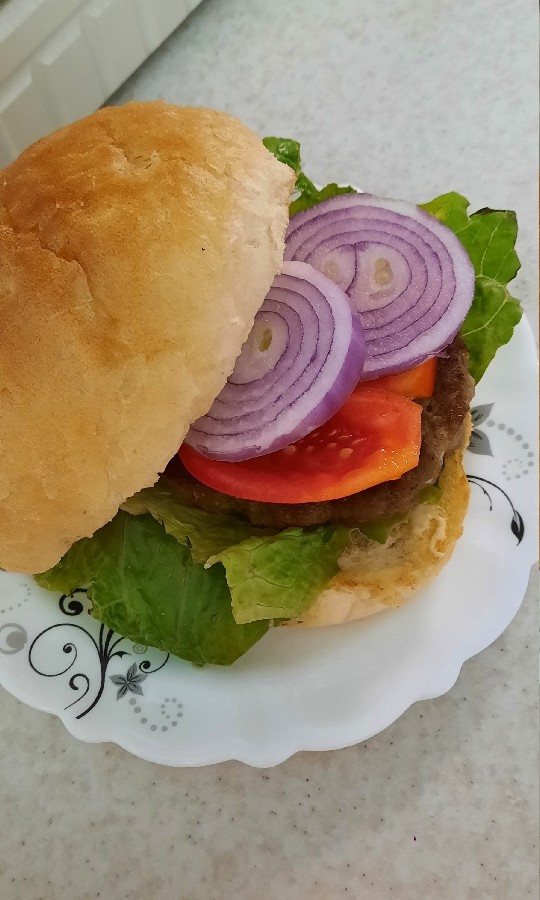 محصولات پروتیین خانگی