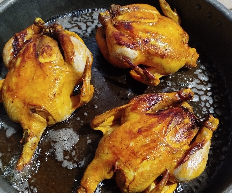 مرغ شکم پر مازندرانی