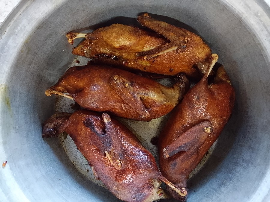 اردک شکم پر 