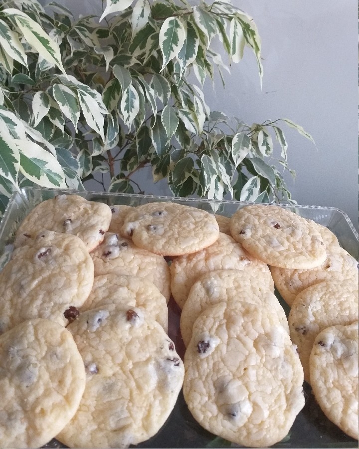 شیرینی کشمشی 