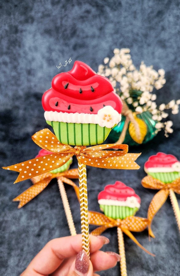 دوره آموزش مقدماتی کوکی آلما