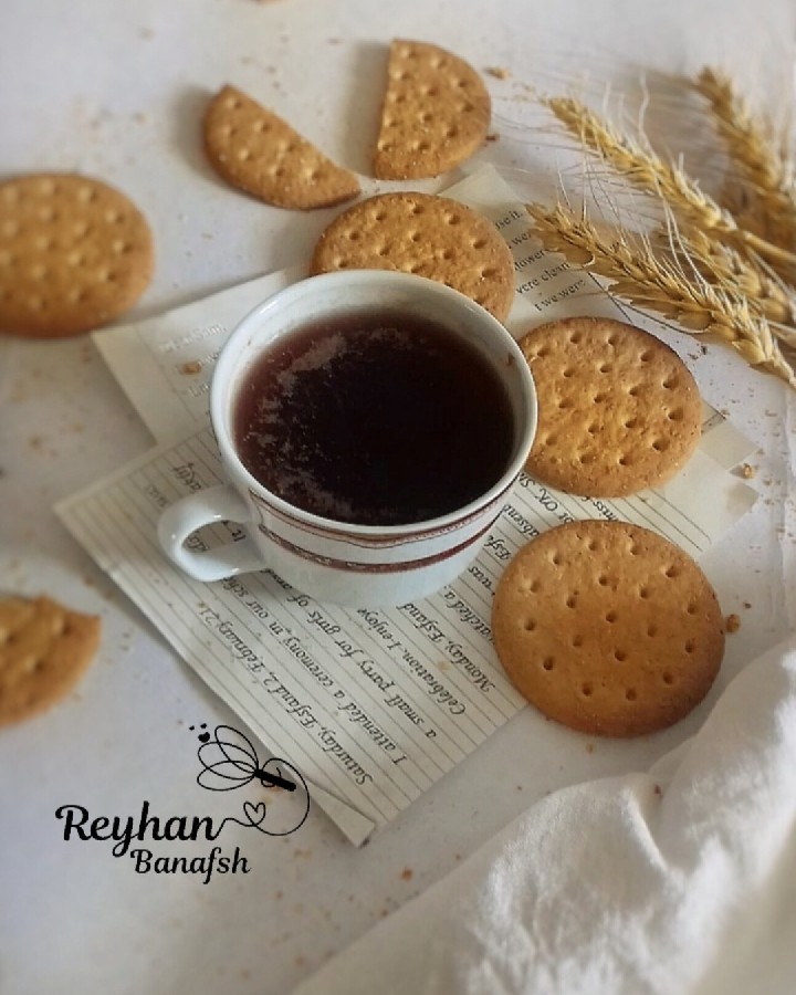 بیسکوییت ساقه طلایی