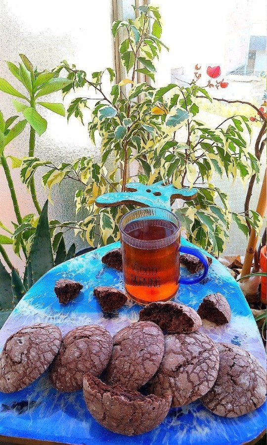 کوکی ترک دار 
ورق بزن عزیزم   