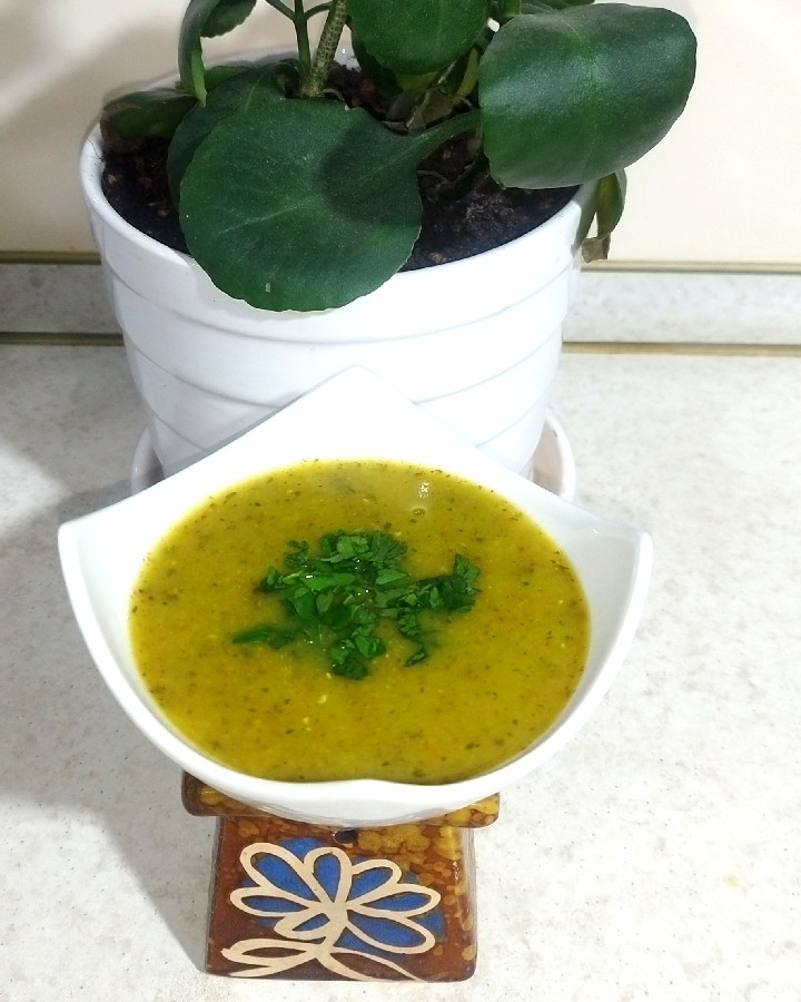 سوپ سبزیجات