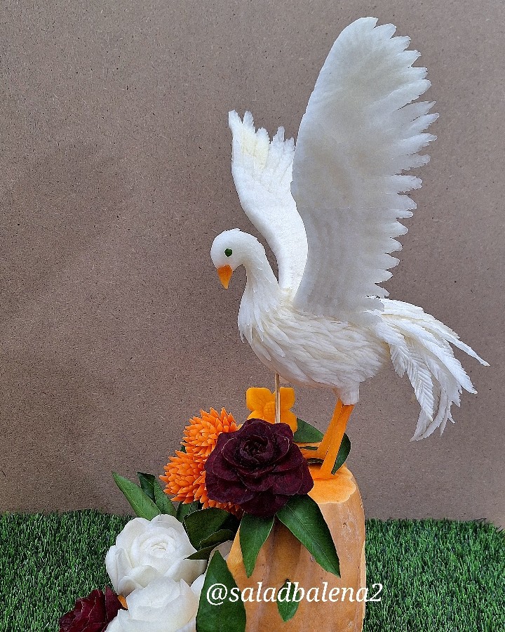 پرنده با شلغم