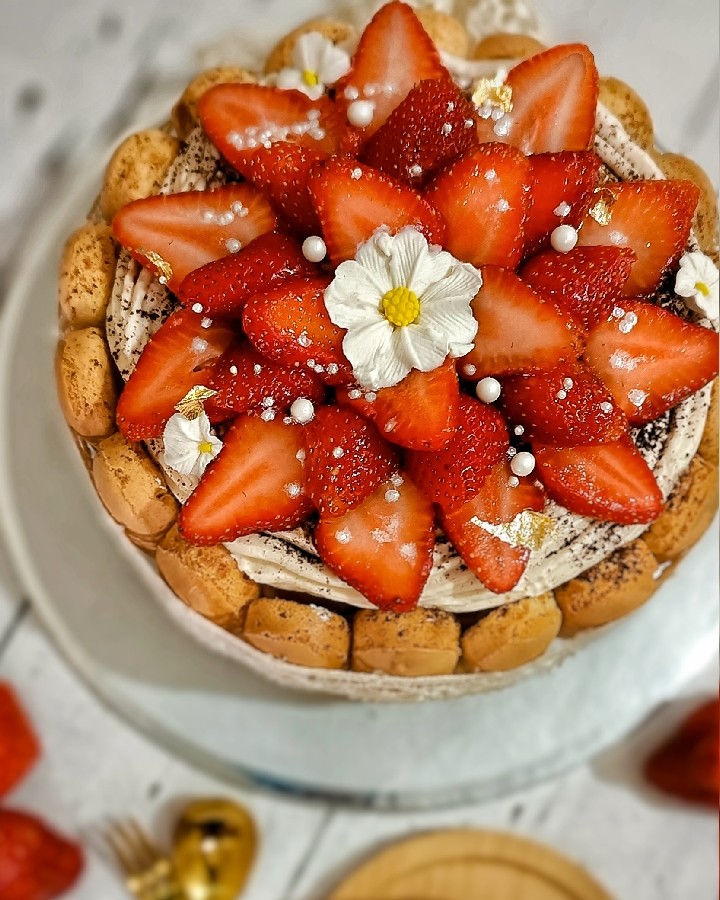 عکس تیرامیسو