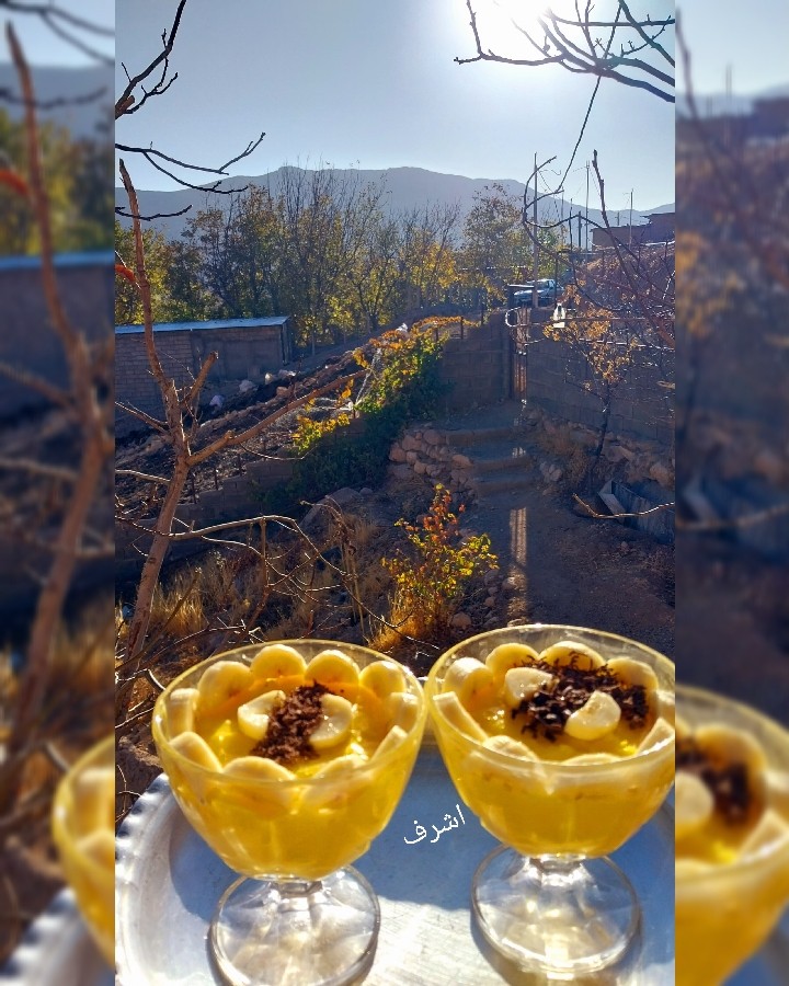 عکس حرروت یا(کاستر)