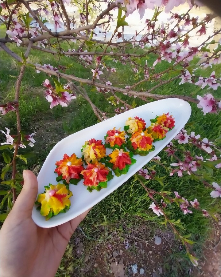 تقدیم به دلهای پاکتان