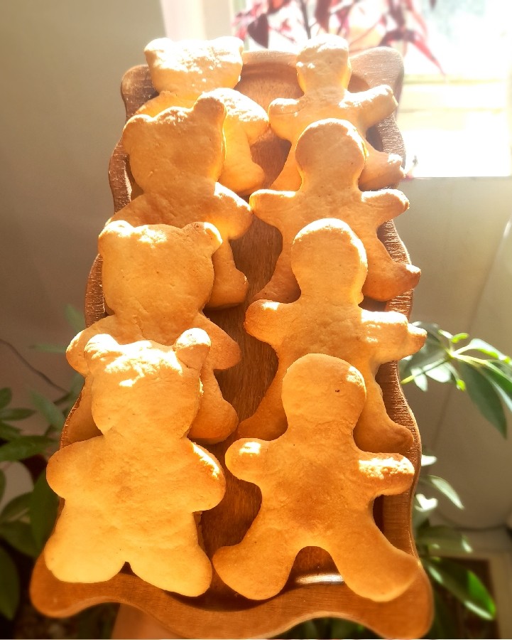 کوکی‌های گرم و خوش‌عطر… کوچک‌ترین چیزها هم می‌تونن روزتو شیرین کنن.»