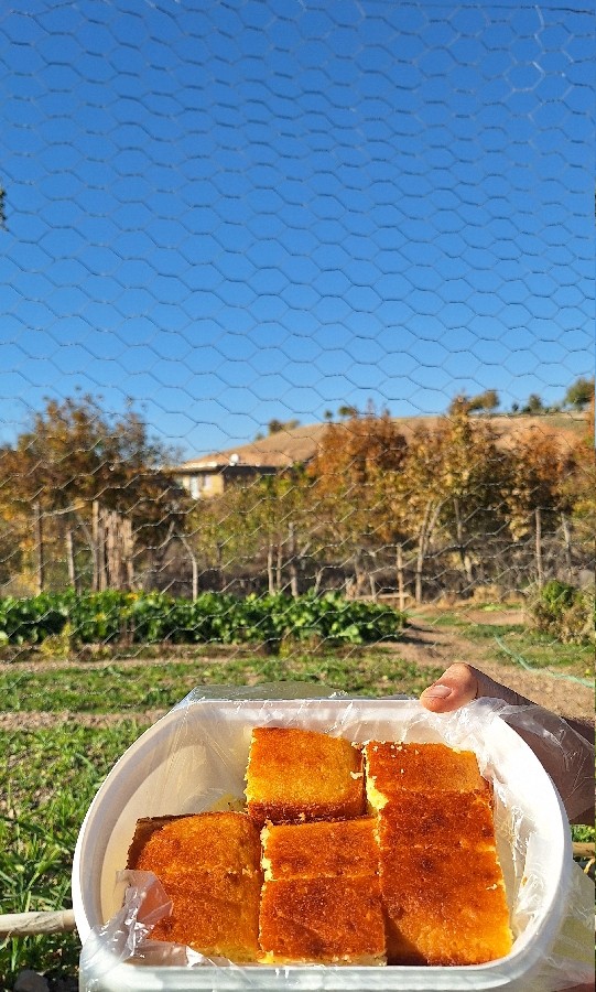 کیک رِوانی پرتقالی 