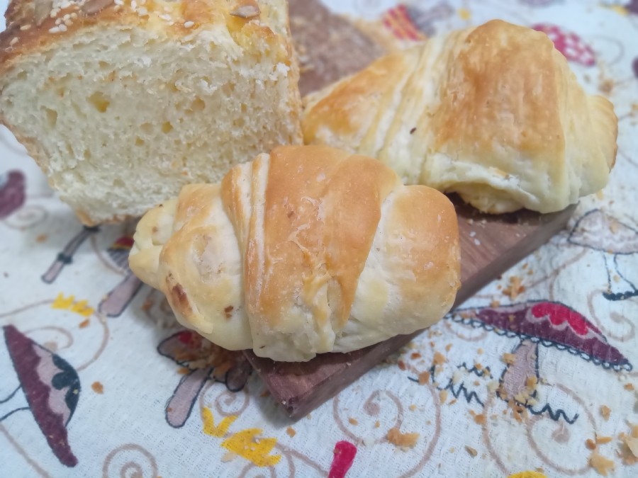 "کروسان"فاطمه پز