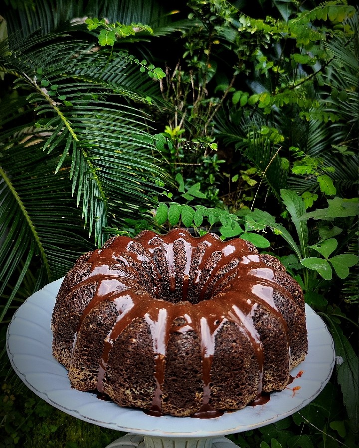 کیک فول شکلاتی 