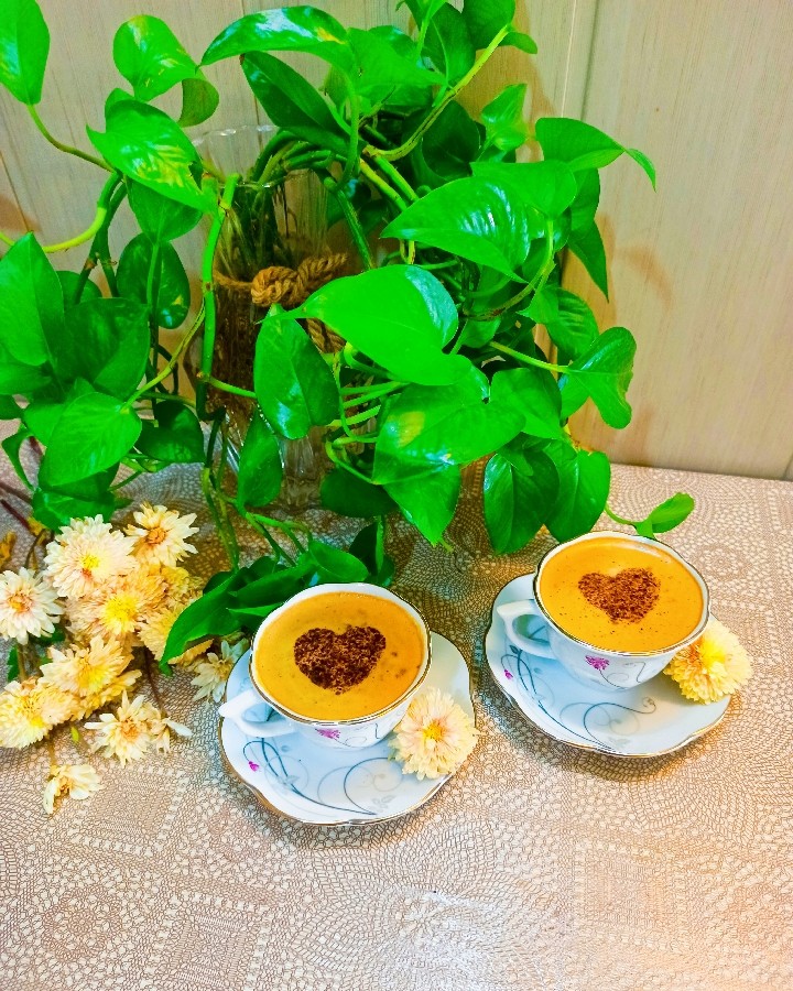 عکس کاپوچینو