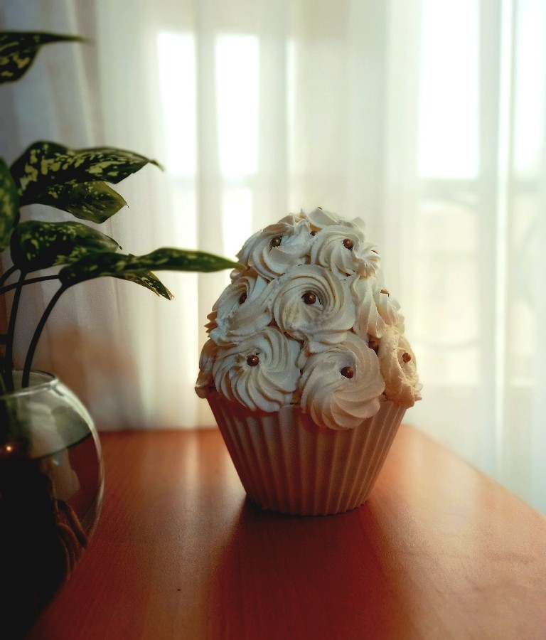 باگر کیک تولدم❤️