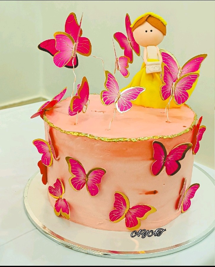 کیک تولد
دختر وپروانه 