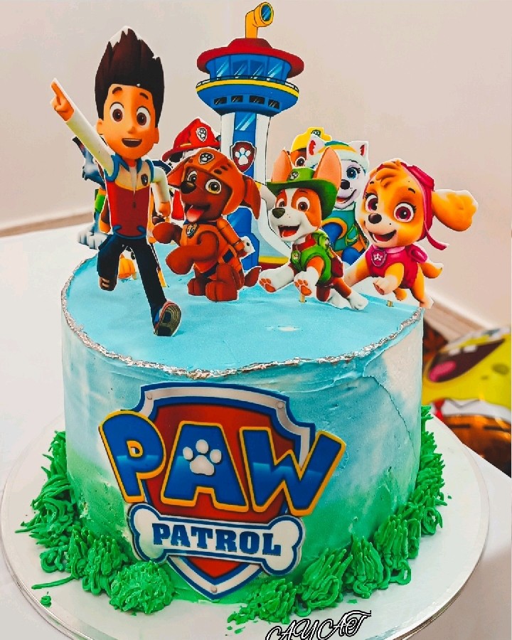 کیک تولد 
 سگهای نگهبان 