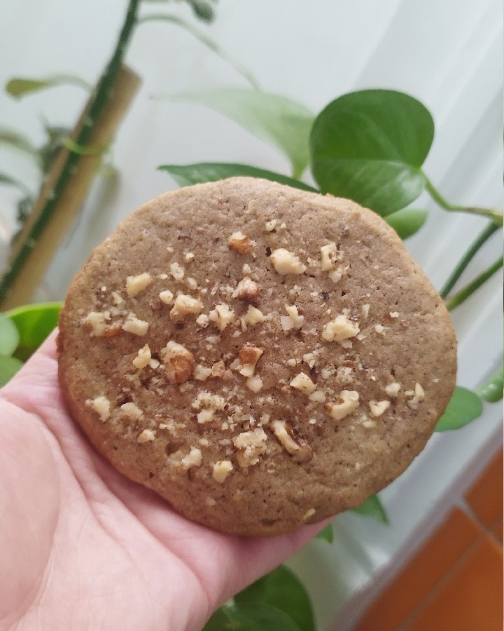 کوکی گردویی