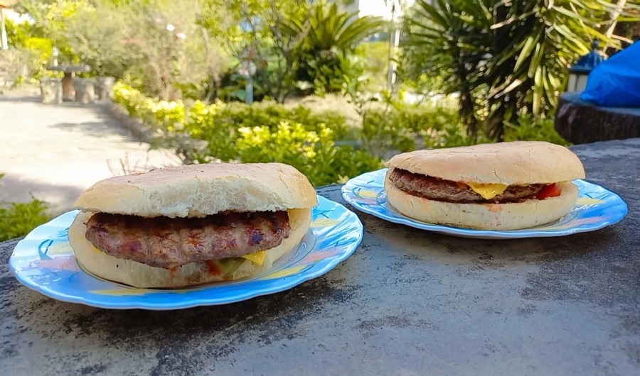 همبرگر مخصوص