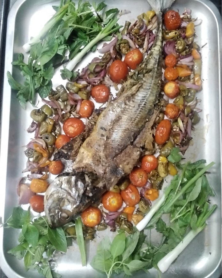 ماهی شکم پر