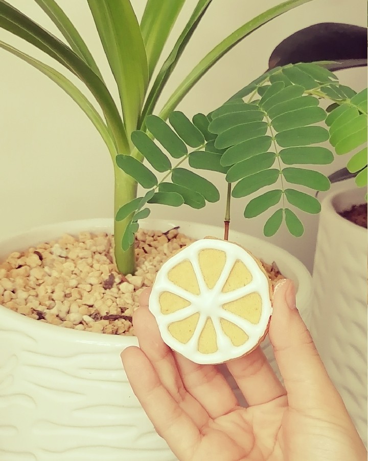 شیرینی لیمو عسلی خوش عطر و طعم با تزیین آیسینگ♥️
با آموزش های خوب استاد نفیسه یاری عزیز