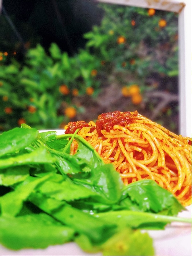 خدانگهدار شمال:))) سلام بر بندرعباس=))))