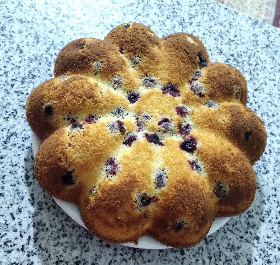 کیک آلبالو و گلدانی