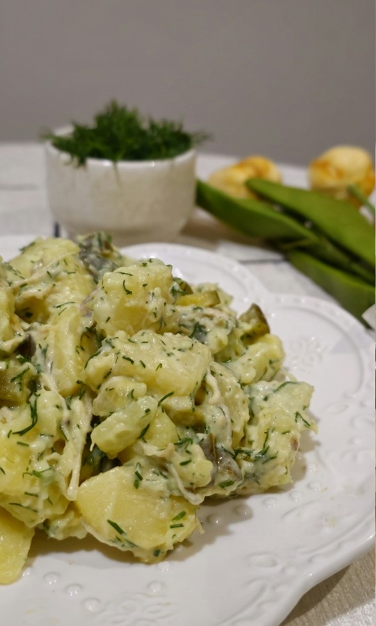 عکس سالادشوید 