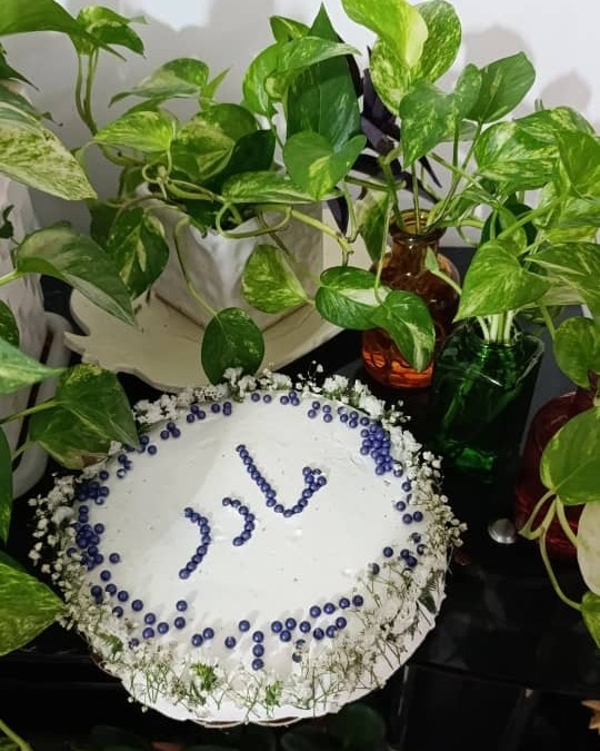 کیک وانیلی ساده