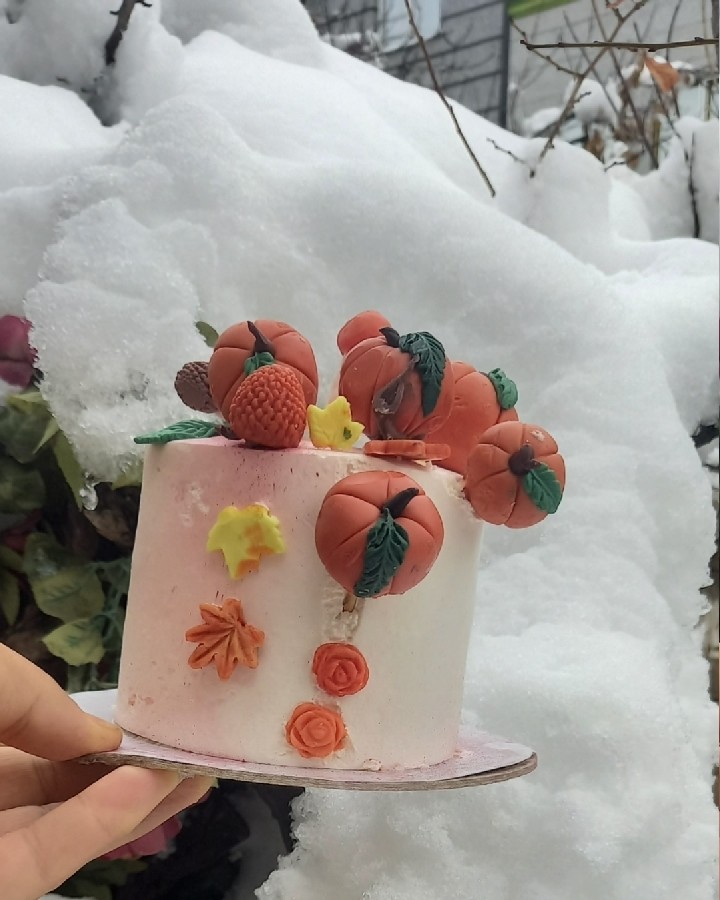 کیک پاییزه شیر کاکائو برا یک روز برفی 