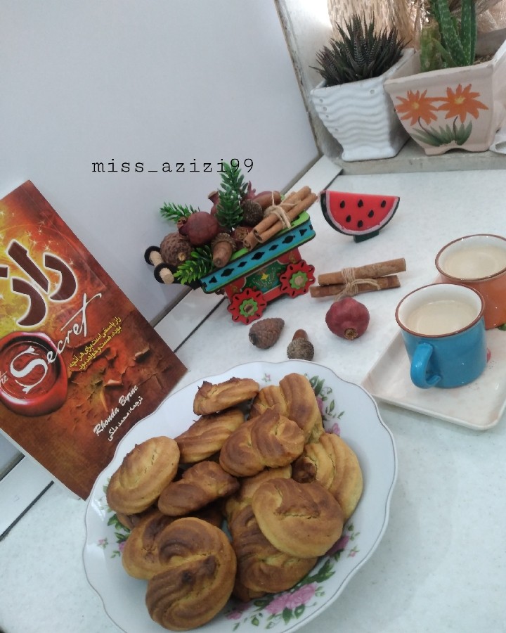 کوکی به دستور پاپیون عزیز 