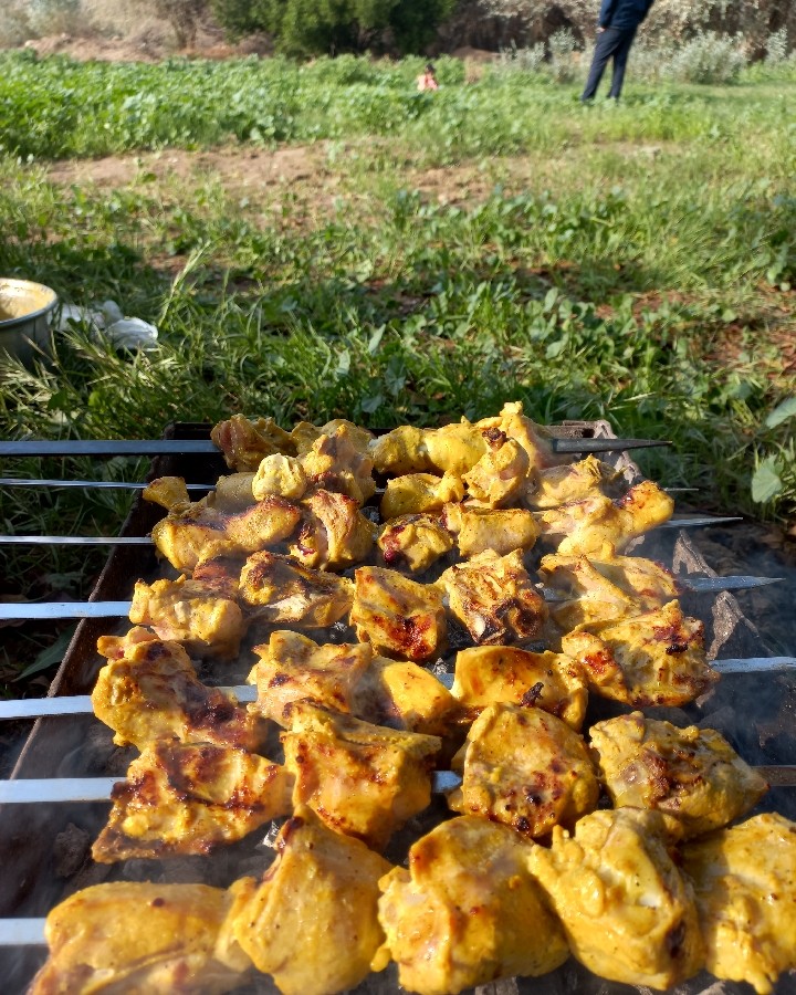 کباب در طبیعت 