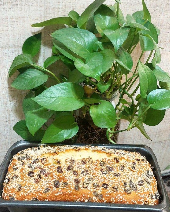 تولدم مبارک