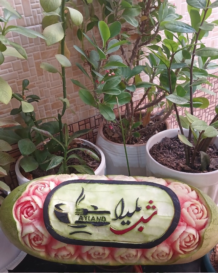 حکاکی اختصاصی،یلدای ۱۴۰۴