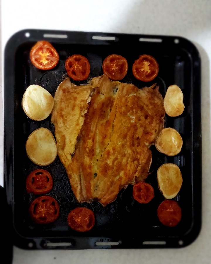 ماهی در توستر