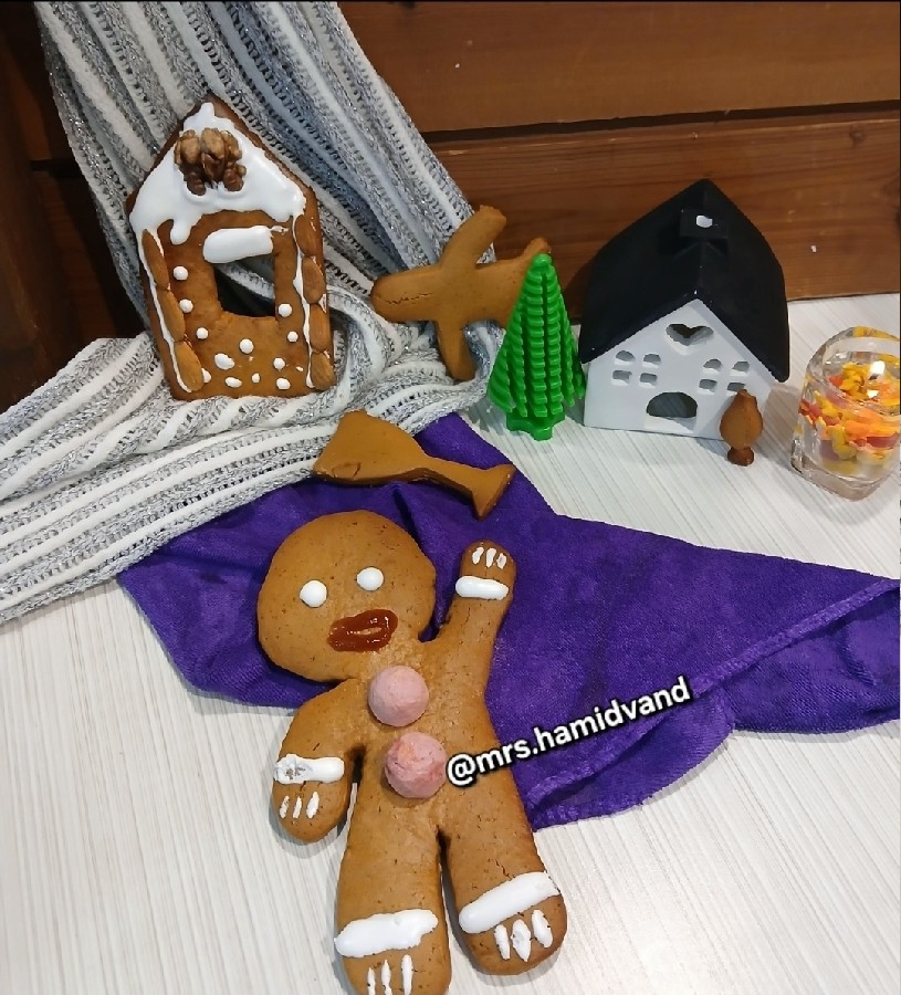 بیسکوییت زنجبیل و شیره انگور