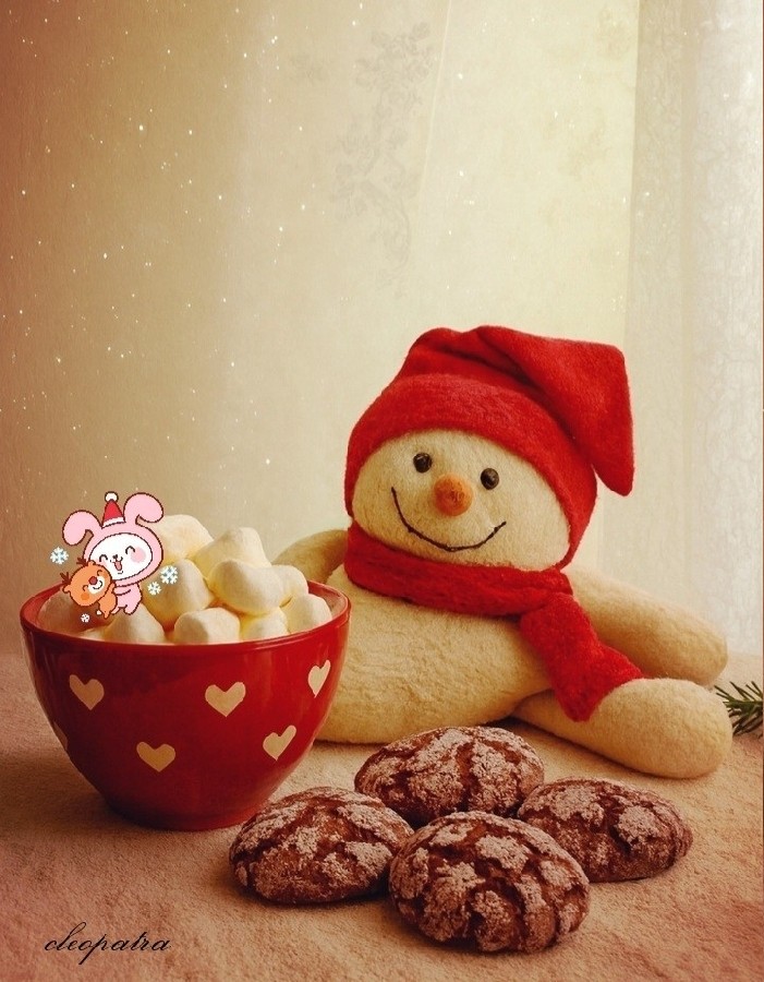 کوکی ترک فندقی شکلاتی