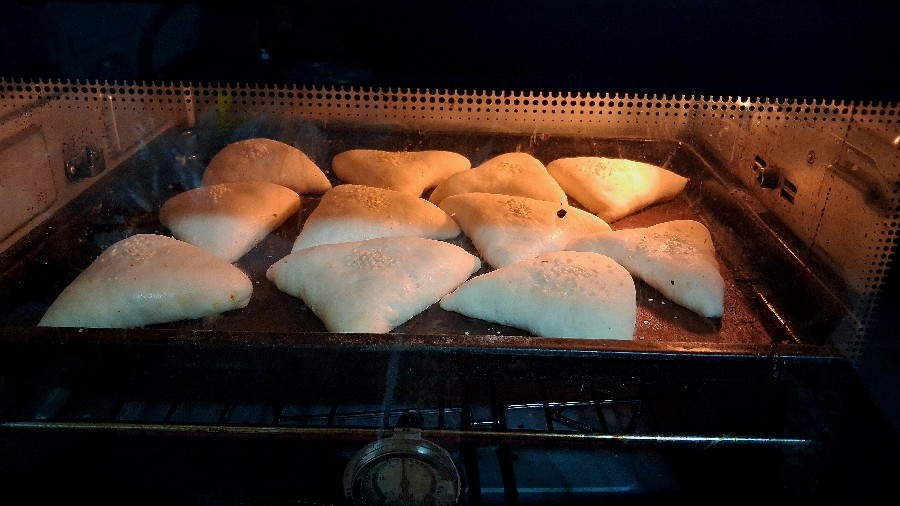 پیراشکی گوشت
لقمه مدرسه