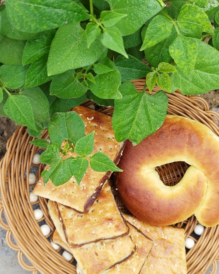 کلوچه خرمای خوزستان