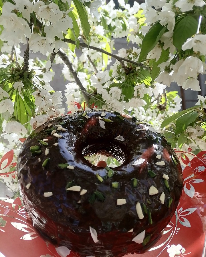 کیک شکلاتی باسس