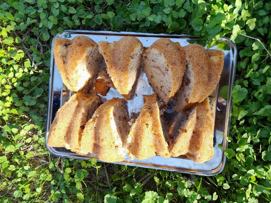 کیک گردو وسیب دارچین