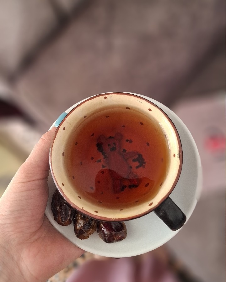 این چند روز که نبودیم 